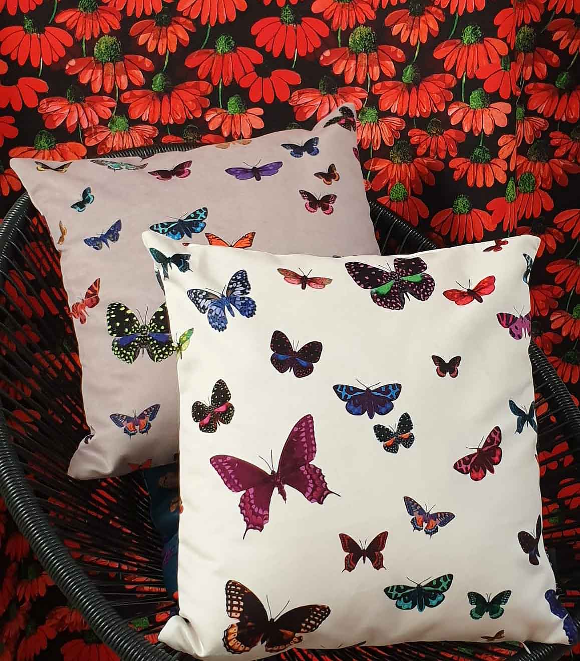 coussin butterfly