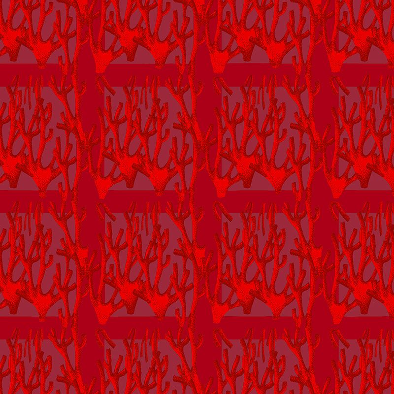 corail 1 pattern